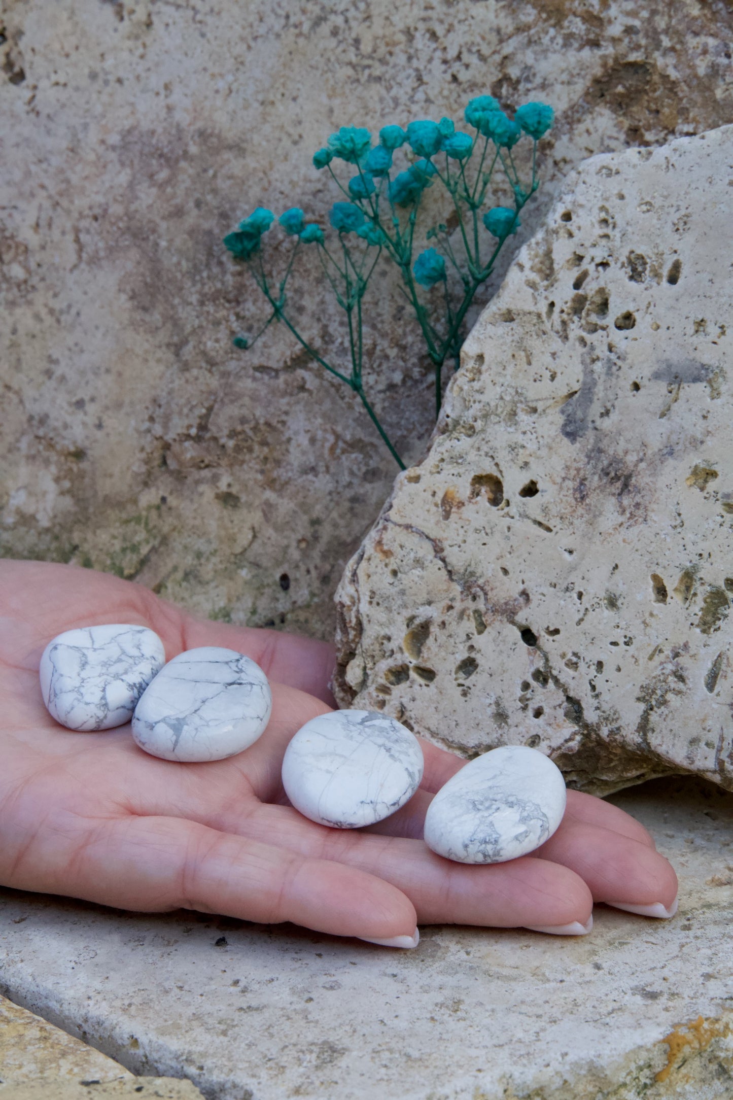 Rodado Plano Howlita – Calma y Claridad