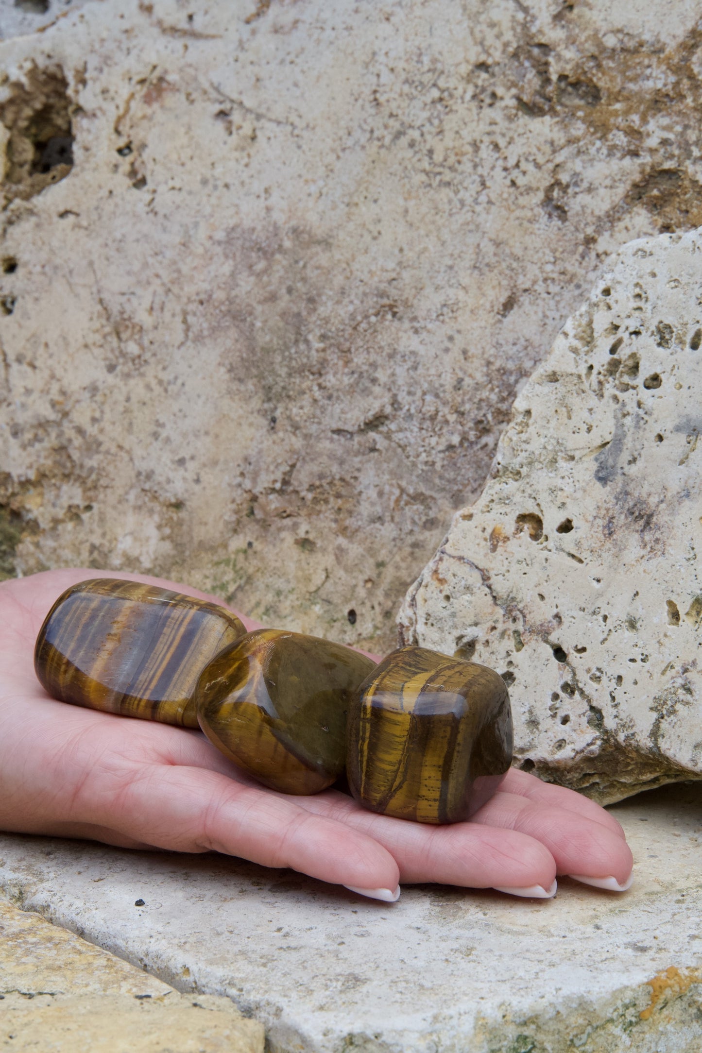 Rodado Ojo de Tigre – Fuerza y Protección